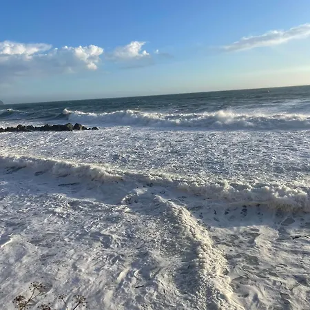 Il Nido Sul Mare Blu *